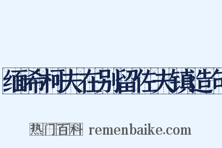 缅希柯夫在别留佐夫镇造句是什么意思的图片